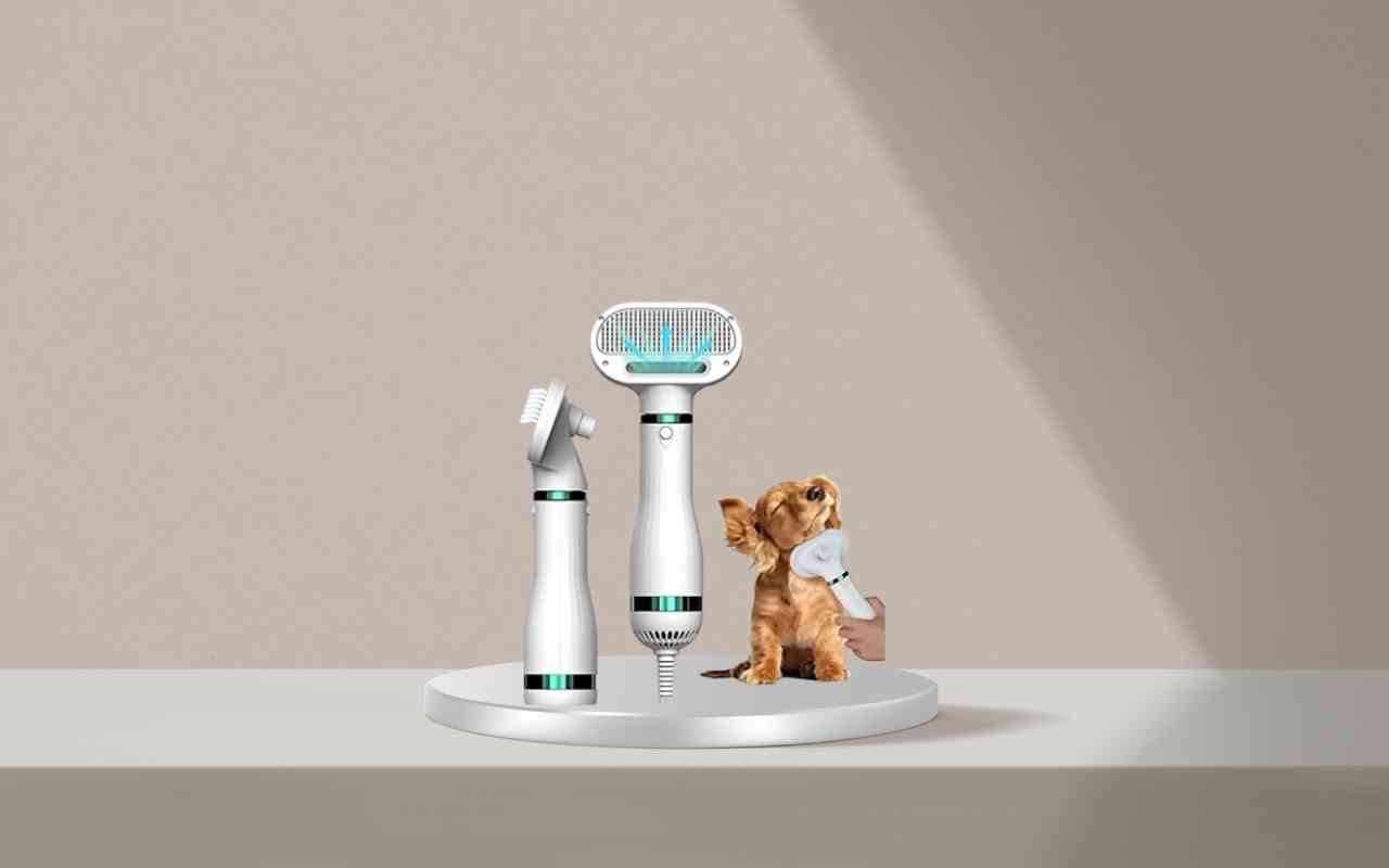 Scopri come educare il tuo animale con Nice Pet: addestramento facile e sicuro