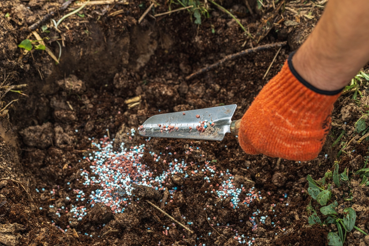 Il lato nascosto del sovraconcimare