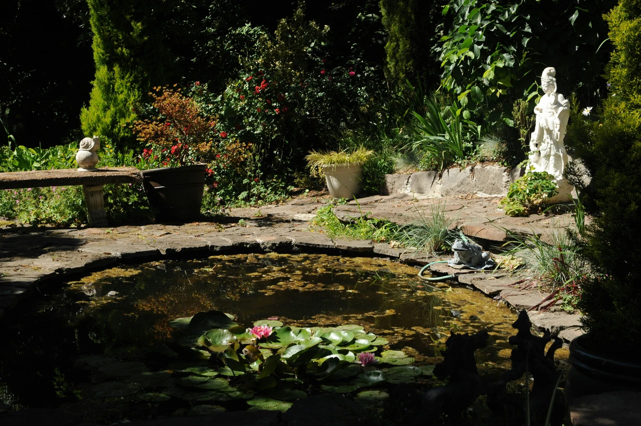 Come si fa a creare un piccolo stagno con le ninfee sul terrazzo? Il mini-pond in un mastello