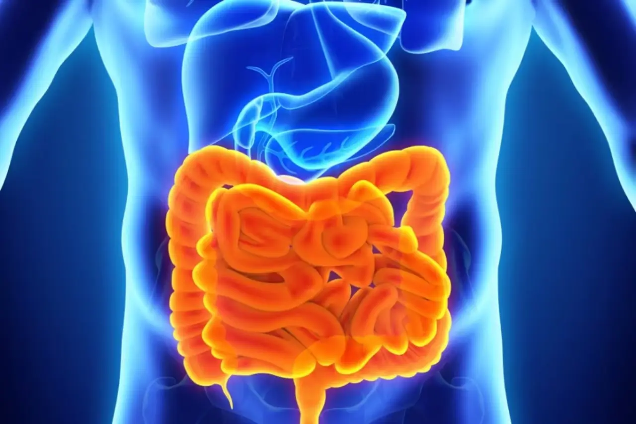 Parassiti intestinali: ecco quali possono danneggiare l’organismo