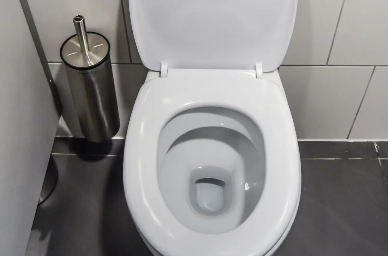 Hai mai provato a mettere l’ammorbidente nel water: ecco cosa succede