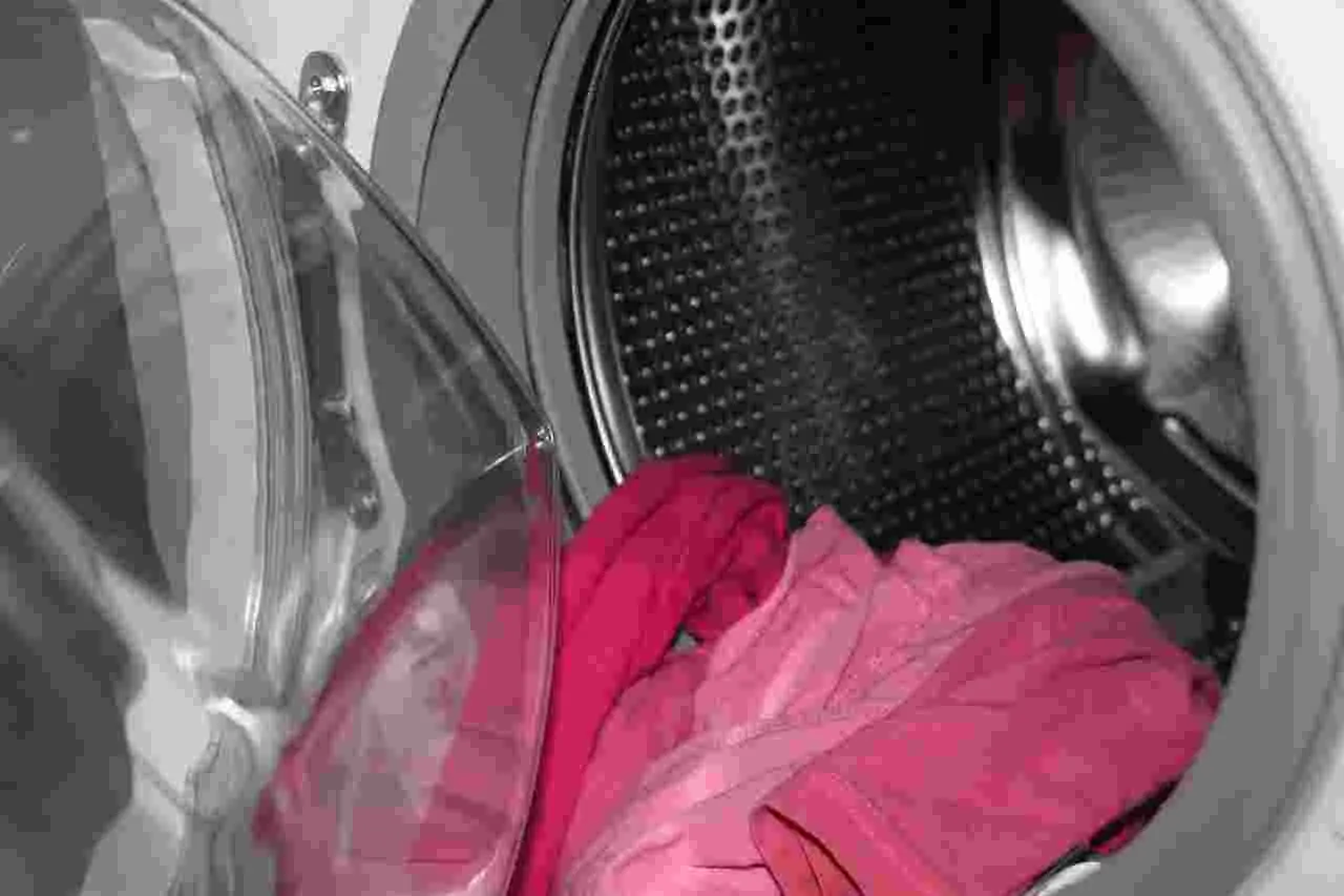 Lavatrici a secco: ecco come funzionano e quali abiti puoi trattare