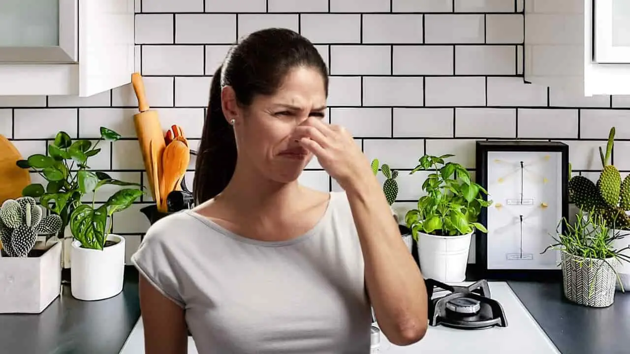 Attenzione se in casa senti questo odore particolare: potrebbe essere mortale