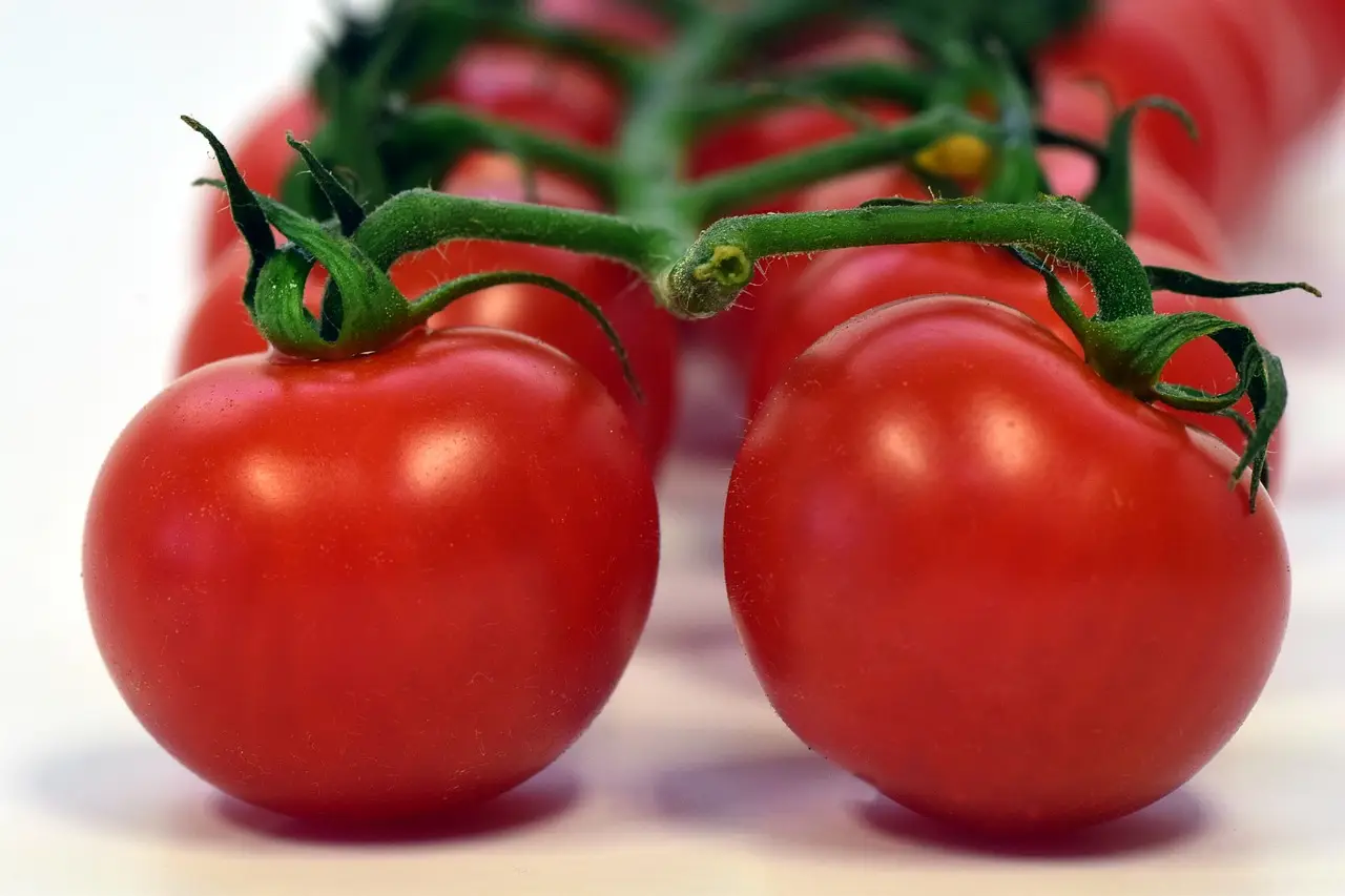Attento alla pioggia con i pomodori: ecco perché rischi di rovinare tutto