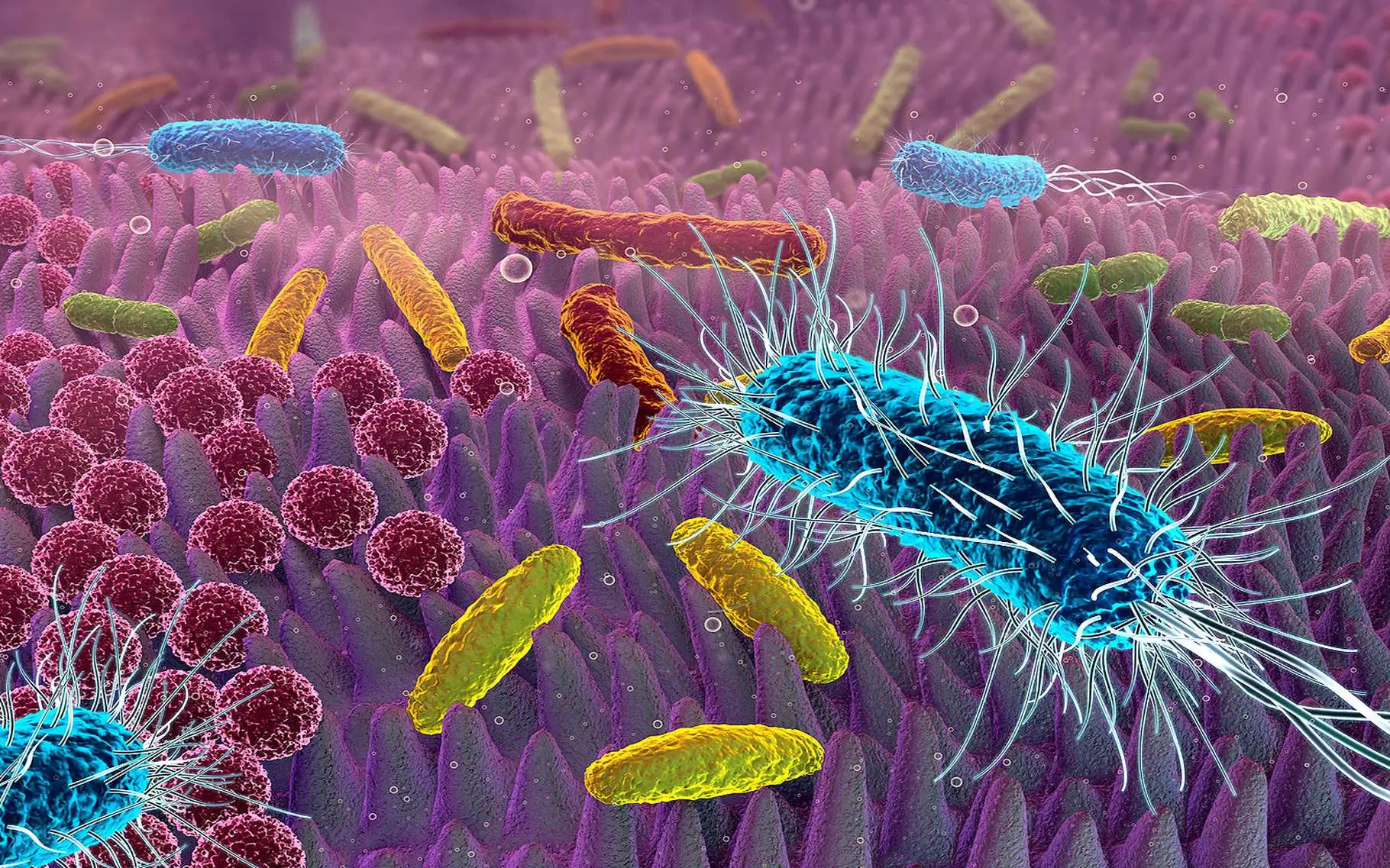 Attenzione a questi punti della casa: ecco dove si annidano più batteri che in bagno