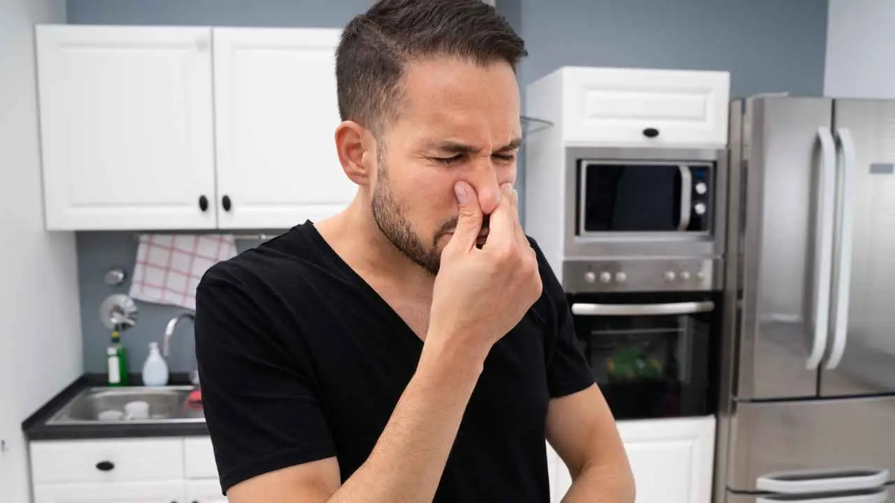 Hai il naso assuefatto? Ecco il trucco per scoprire se la tua casa ha un cattivo odore che non senti