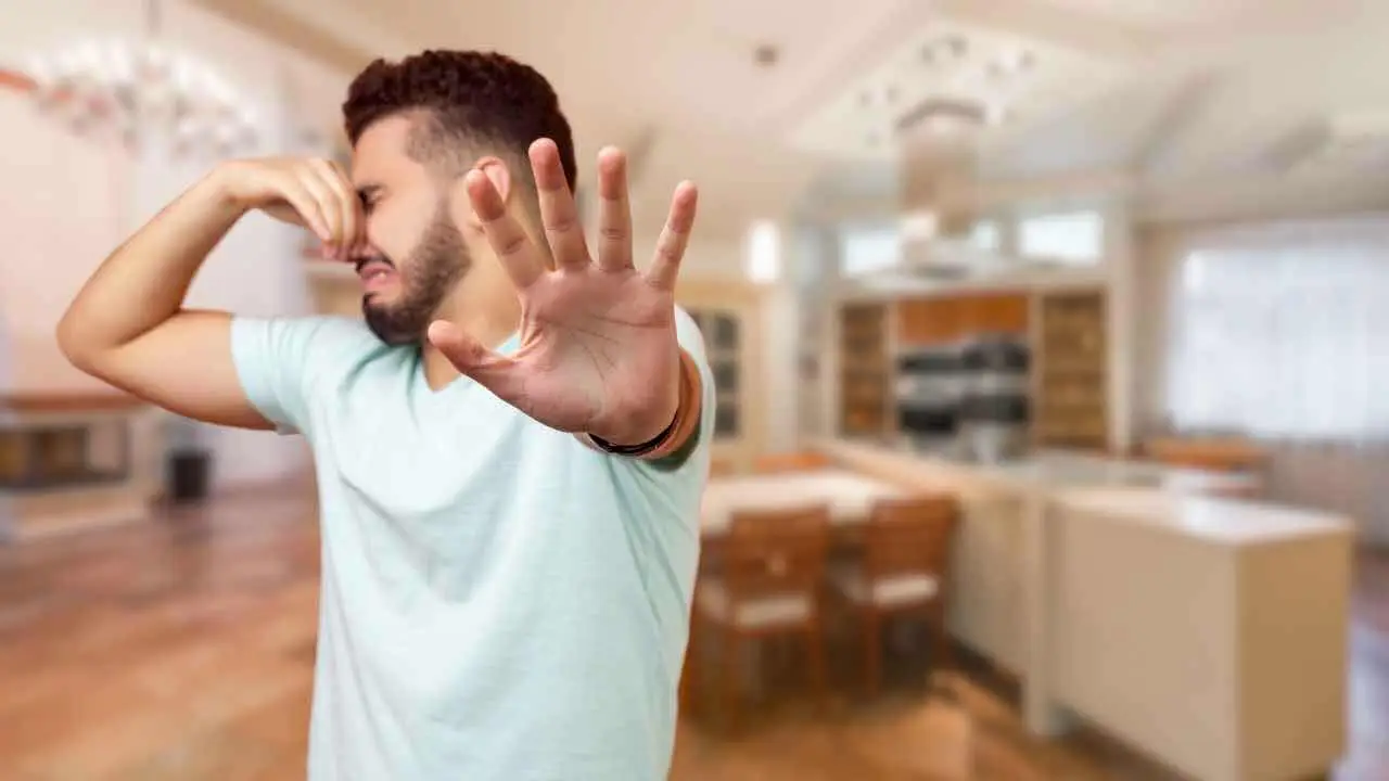 Odore di vecchio addio: il trucco definitivo per rinfrescare i vestiti vintage in un lampo