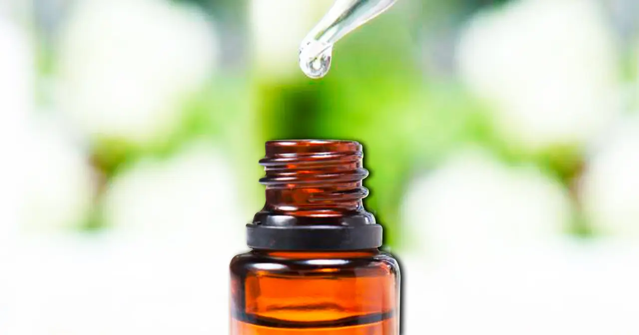 Usi l’olio di neem su piante o animali? Ecco la verità sulla sua tossicità e i pericoli