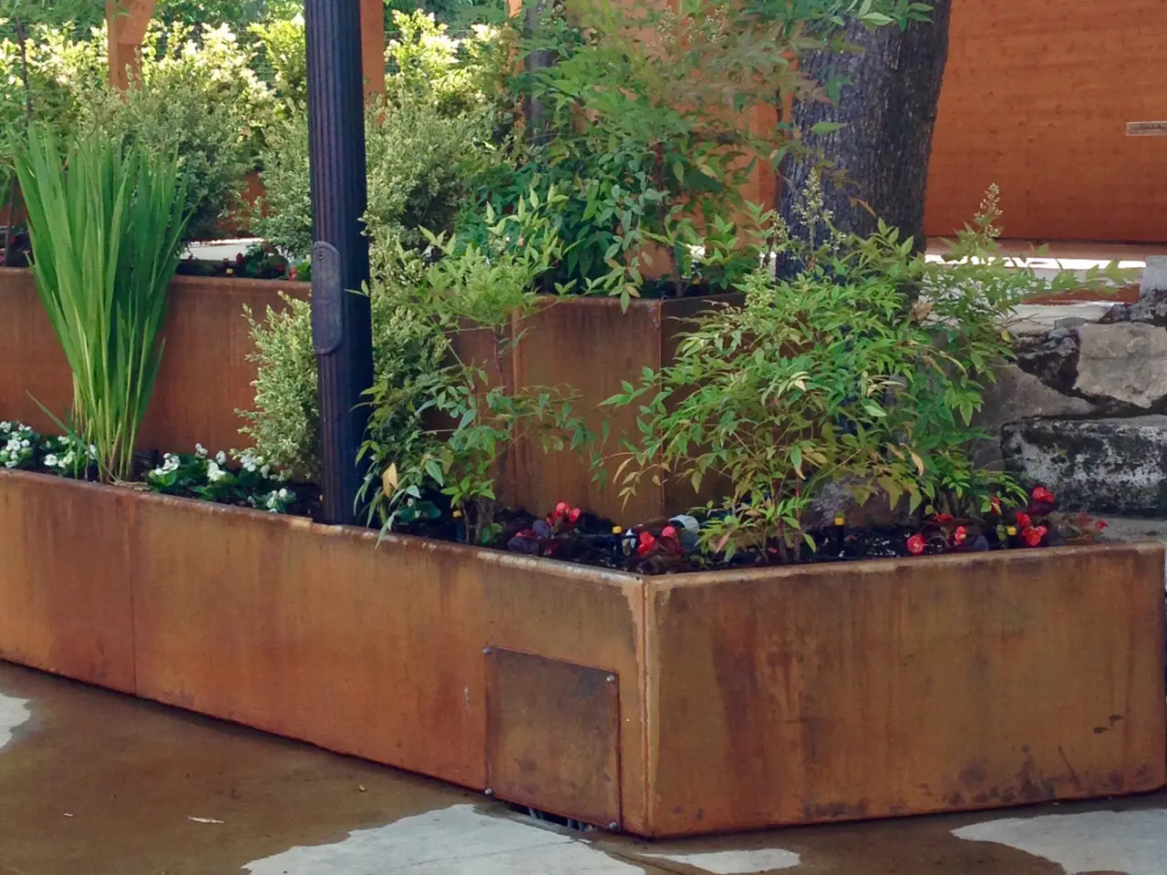 Non riempire le fioriere esterne con questa pianta: ecco cosa resiste davvero al sole e al vento