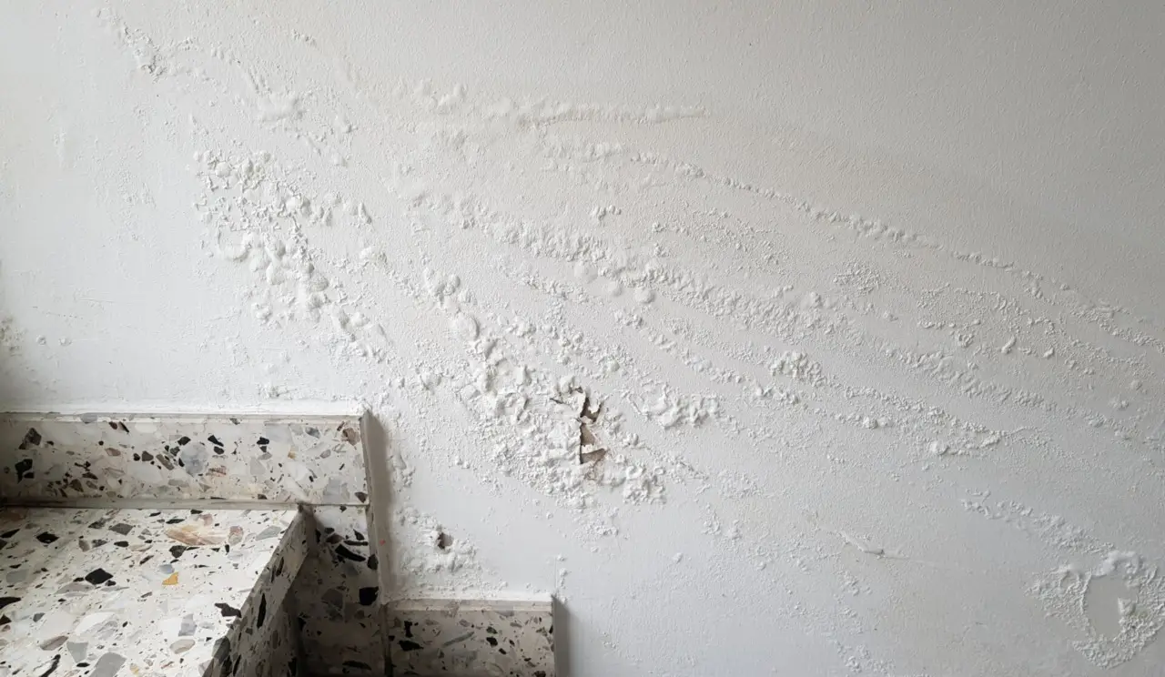 L’errore che fai in casa e che crea umidità e muffa: ecco come produrre aria secca velocemente