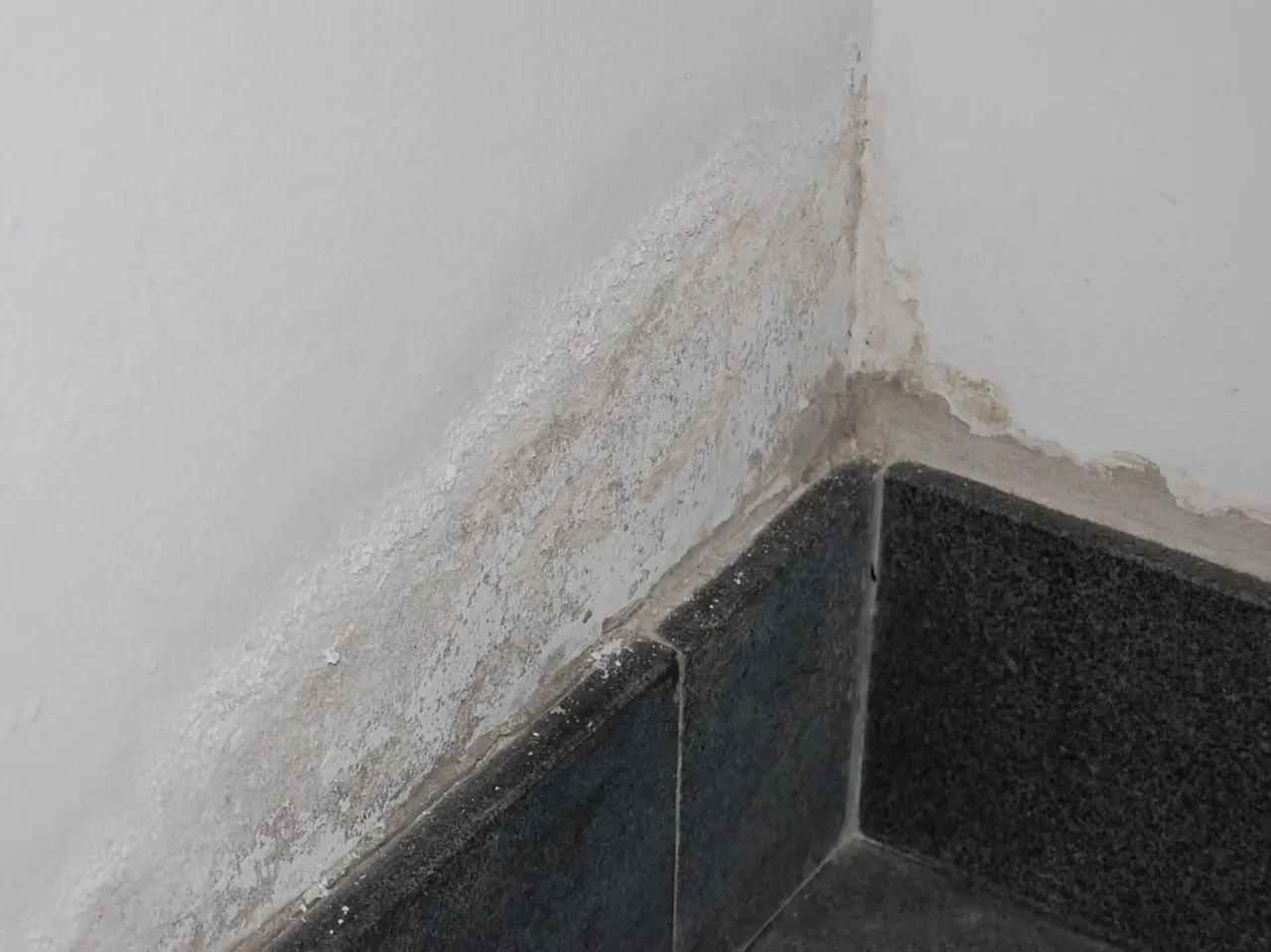 Soffri l’umidità in casa? Ecco quando è davvero più alta tra estate e inverno