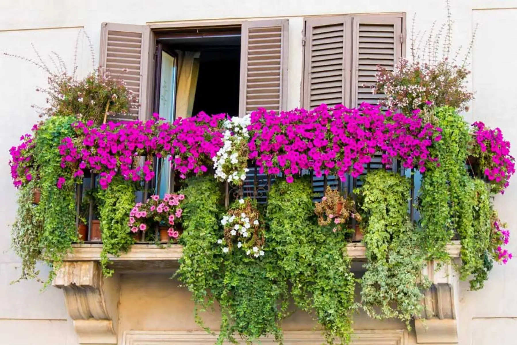 Attenzione a quando annaffi i fiori sul balcone: ecco le multe salate che rischi in condominio