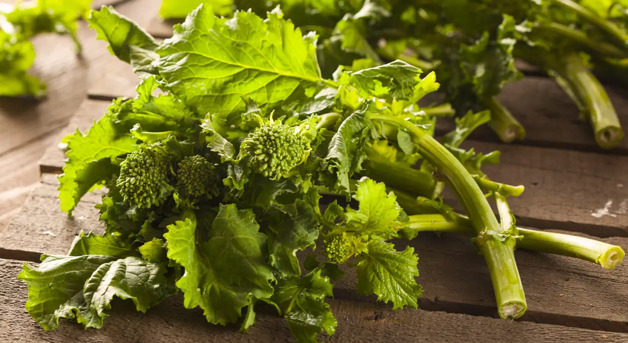 Quando piantare i semi delle cime di rapa? Ecco il periodo esatto