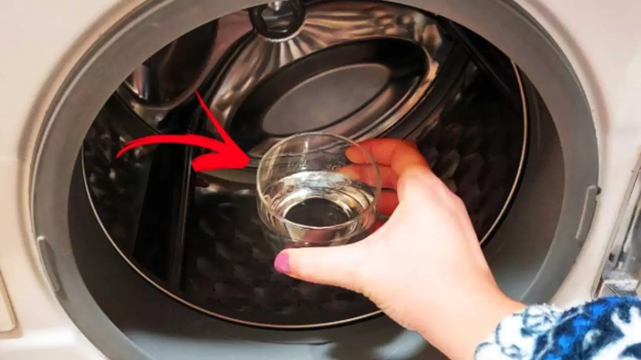 Come si pulisce la lavatrice per eliminare calcare e cattivi odori? Il lavaggio a vuoto che la rigenera
