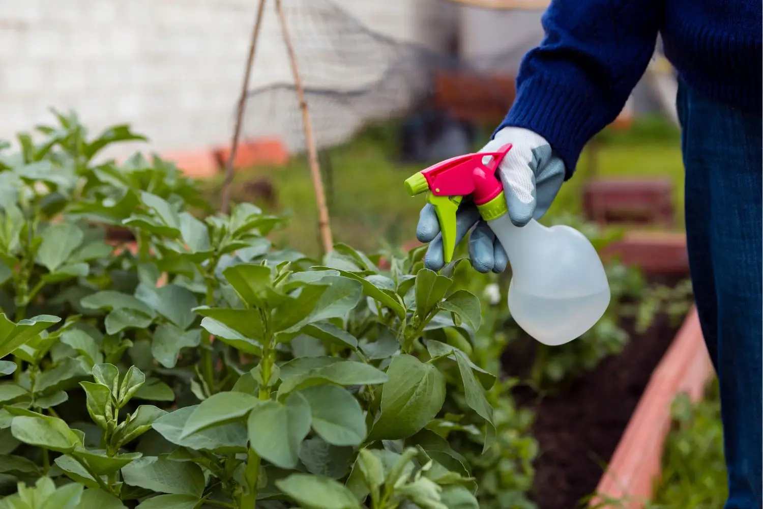 Il lato nascosto dei pesticidi in giardino