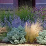 Quali sono le piante migliori per un giardino a bassa manutenzione? Le scelte per chi ha poco tempo