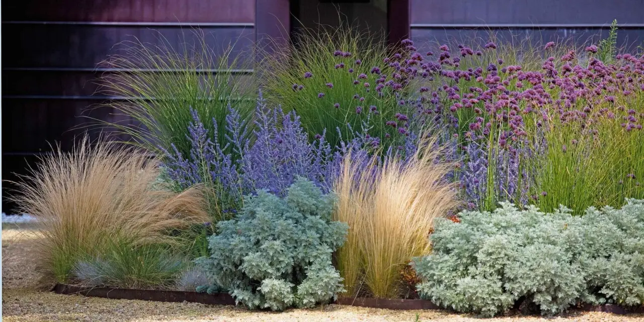 Quali sono le piante migliori per un giardino a bassa manutenzione? Le scelte per chi ha poco tempo